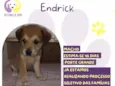 Endrick