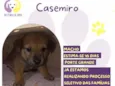 Casemiro