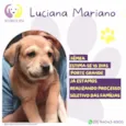Luciana Mariano