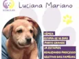 Luciana Mariano