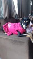 Nina 