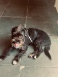 BOB