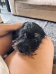 BOB