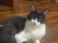 teo