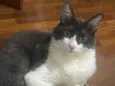 teo