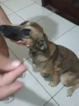 lua