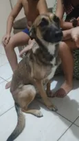 lua