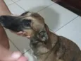 lua