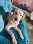 Bolt