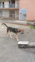 Bil