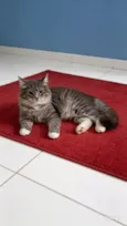 Lupita