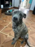 Jeffinho