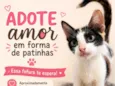 Sem nome