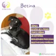 Betina