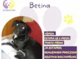 Betina