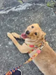 Zoe