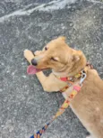 Zoe