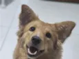 Zoe