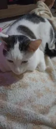 Tom
