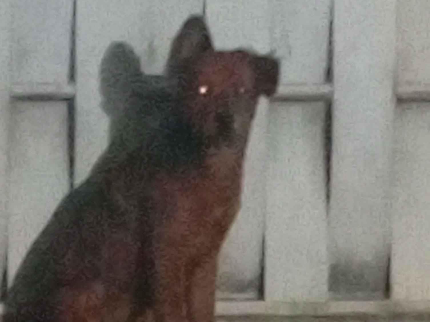luna - Goiânia