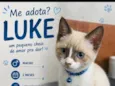 LUKE