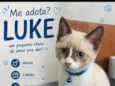 LUKE