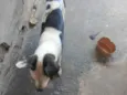 Théo