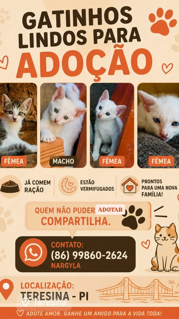Gato raça SRD-ViraLata idade 2 a 6 meses nome Ainda sem nomes 