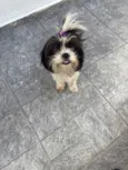 Liza