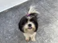 Liza