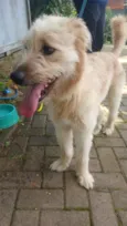 billy
