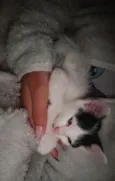 Billy