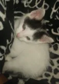 Billy