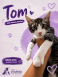 Tom