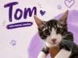 Tom