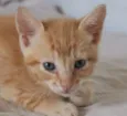 Emílio 