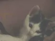 Billy