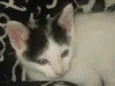 Billy