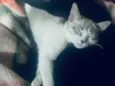 Terror e Fumaça