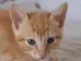 Emílio