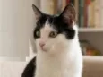 Tom