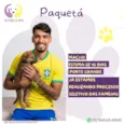 Paquetá