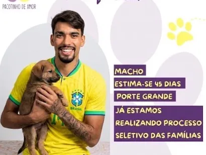 Cachorro raça SRD-ViraLata idade 2 a 6 meses nome Paquetá
