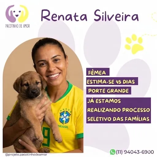 Cachorro raça SRD-ViraLata idade Abaixo de 2 meses nome Renata Silveira 