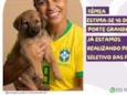 Renata Silveira 