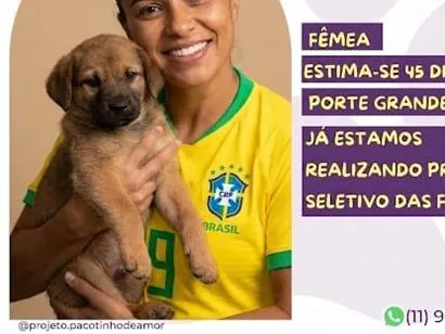 Cachorro raça SRD-ViraLata idade Abaixo de 2 meses nome Renata Silveira 