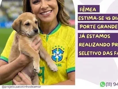 Cachorro raça SRD-ViraLata idade 2 a 6 meses nome Luciana Mariano 