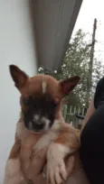 Nina 