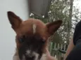 Nina 