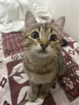 Mimi